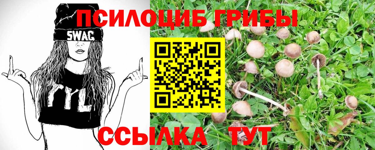 Псилоцибиновые грибы MAGIC MUSHROOMS  Псилоцибиновые грибы GOLDEN TEACHER  Армавир  Вход с VPN 