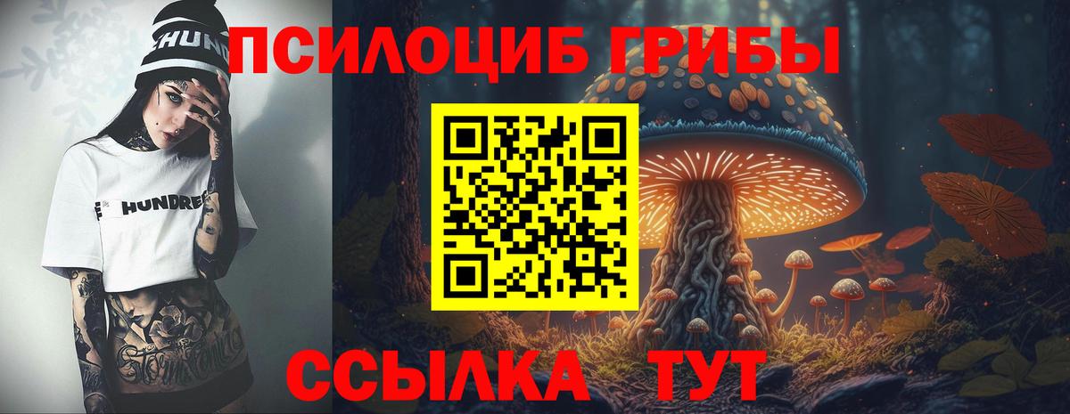 Галлюциногенные грибы Cubensis Армавир